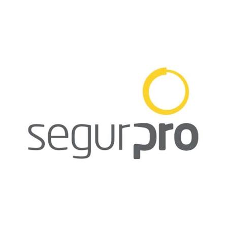 Logo SegurPro