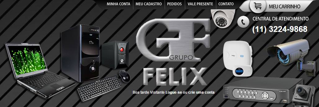 Grupo Felix Monitoramento e Serviços 