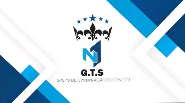 G.T.S N1 LTDA 