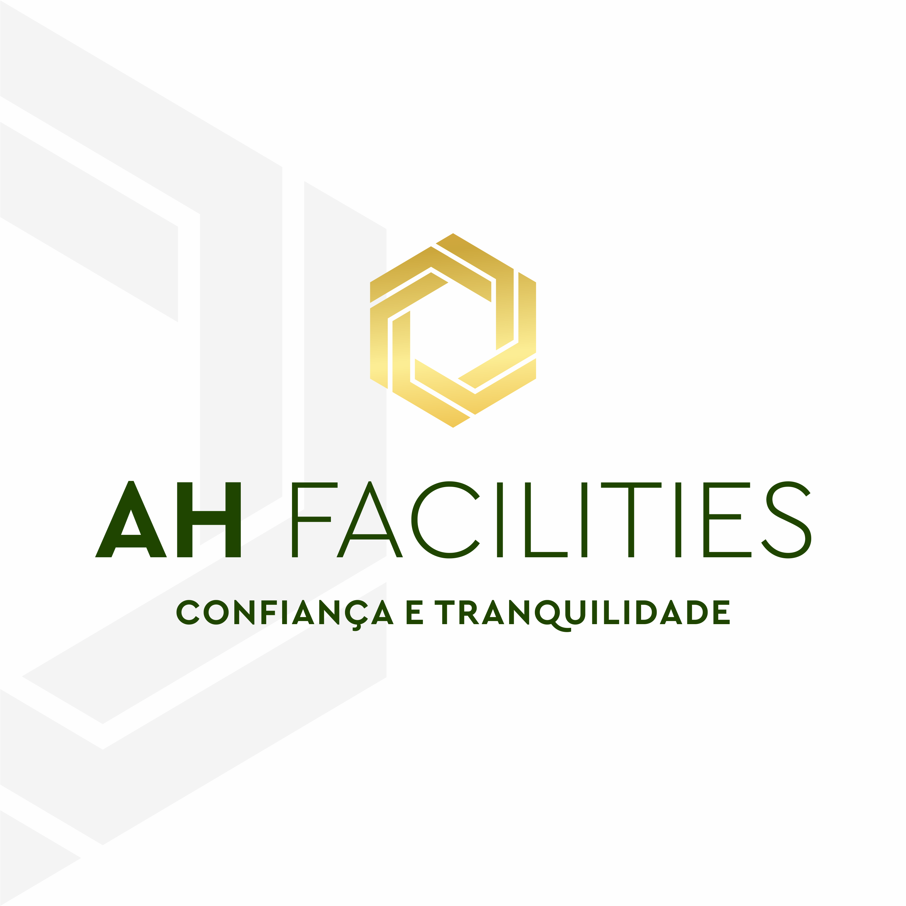 AH FACILITIES SEGURANCA