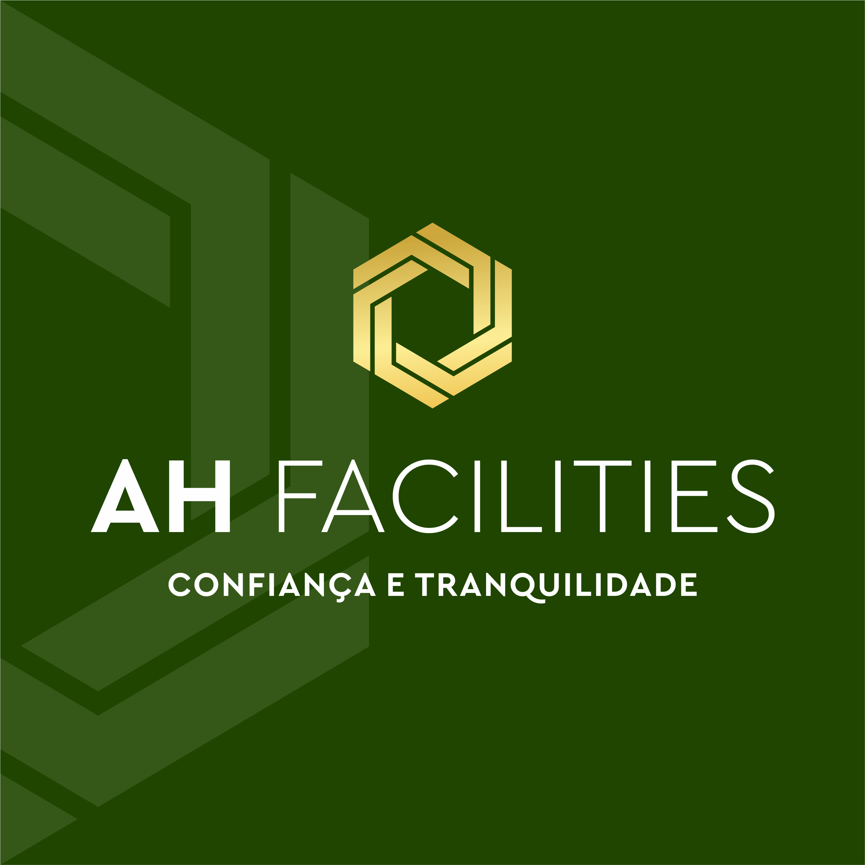 AH FACILITIES SEGURANCA