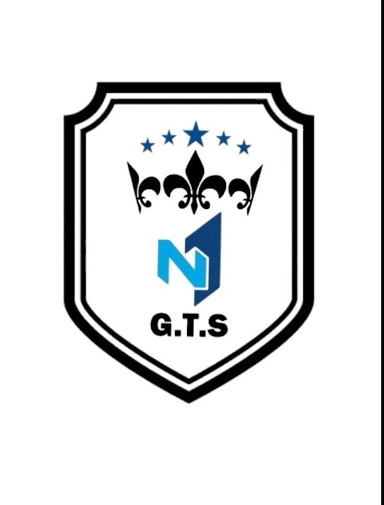 G.T.S N1 LTDA 