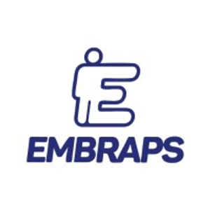 Logo Embraps Serviços - Terceirização de Mão de Obra