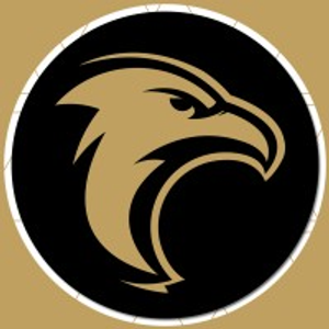 Logo da Engefort