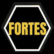 Logo da FORTES SEGURANÇA -Portaria remota e Facilities