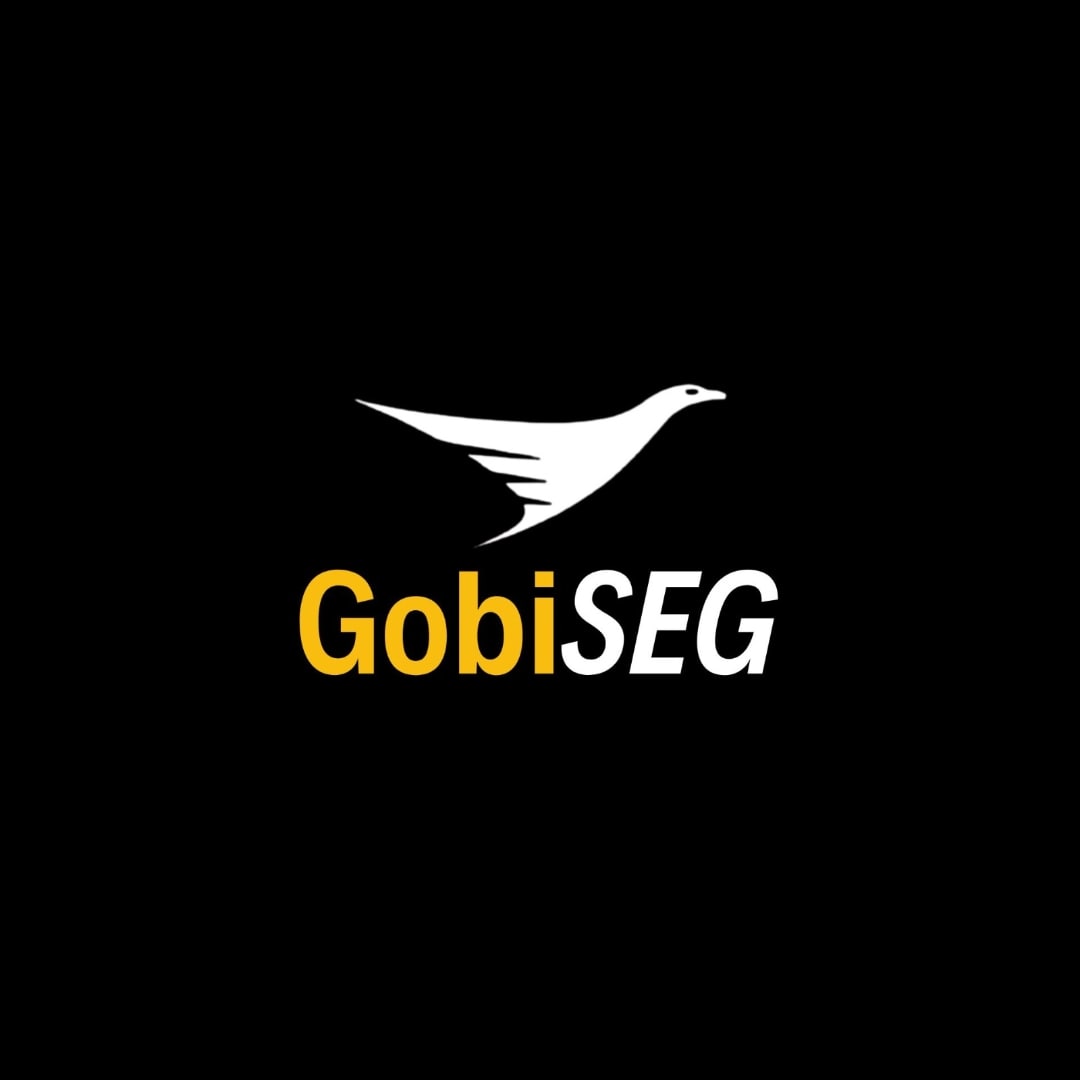Logo GobiSEG - Serviço de Segurança