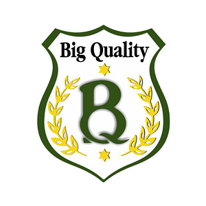Logo Grupo Big Quality Terceirização de Serviços