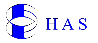 Logo da Has Vigilância Segurança