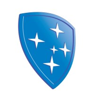 Logo da MERIDIONAL TERCEIRIZADOS