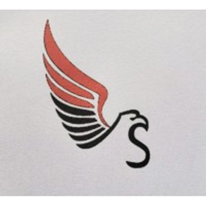 Logo da SALVA GUARDA LS PORTARIA E SERVIÇOS LTDA