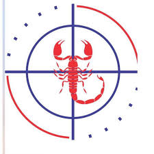 Logo da Scorpion S/C Ltda