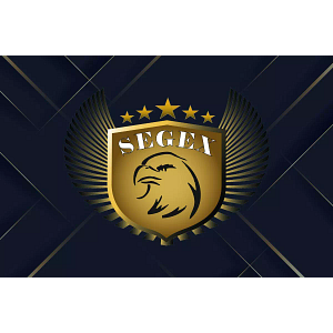 Logo da Segex Segurança Privada Ltda